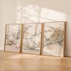 Set di 3 Stampe Botaniche Neutre da Parete, Trittico Japandi da Parete, Decorazione Minimalista Giapponese Scandinava, Stampe da Parete Beige Taupe Oliva