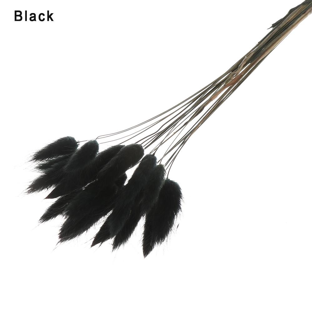 20 ks/svazek Přírodní sušené květiny Králičí ocas Umělé květiny Barevné falešné králičí ocásky Kytice Pastorační styl Foto Pr