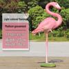 Fiberglass Flamingo Sculpture for Garden and Pond Decorations