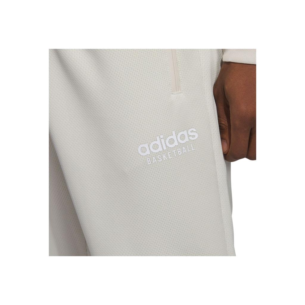 Adidas Vyberte Kalhoty Hliník Pánské Streetwear IC2417