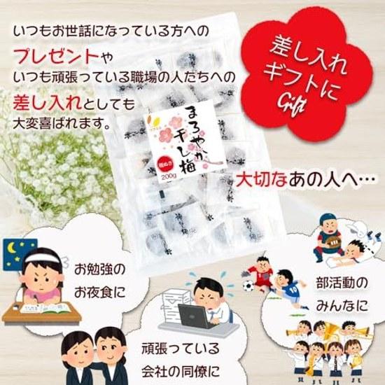 Rifukoko Mild Dried Plum Pitted Individually Wrapped 80g (Approximately 22 pieces) Zipper Bag Included Bulk Umeboshi