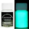 20g Polvere Fluorescente Vernice Luminosa Pigmento Resina Epossidica Pittura Fai da Te Unghie Brilla al Buio Trucco Pittura Corporea Decorazione Festa