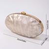 Acrylic Wedding Bag Crossbody Shoulder Unique Shell Shape New Arrival Clutch Evening Fashion Women's Mini Genuine Luxury Handbag