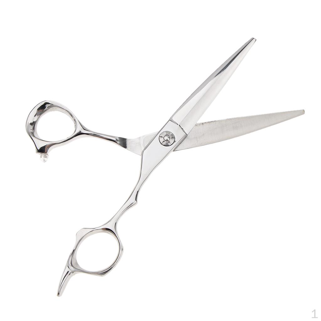 Professional Hair Cutting Light weight Sharp 6.5 Stainless