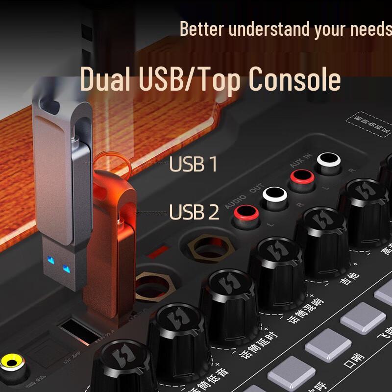 Sansui G12 Portable High-Power Karaoke Trolley Speaker