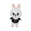 25cm Skzoo Plush Toys Stray Kids Cartoon Stuffed Animal Plushies Doll Bbokari Leebit Wolf Chan Puppym Gifts