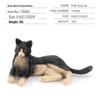 Children's Black and White Kitten Simulation Set - Toy Cat Figurine
