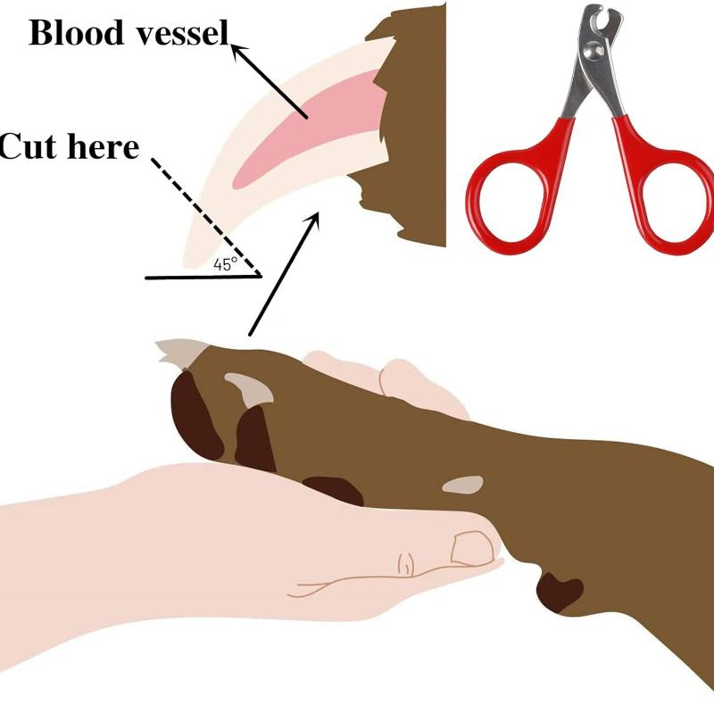 1pc Cat Nail Scissors Pet Nail Clipper Stainless Steel Scissor Cat Grooming Nail Clipper Cutter for Small Dogs Cats Pet Supplies