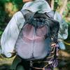 Breathable Hiking Shoe Storage Bag Waterproof Outdoor Expansion Bag Camping Use