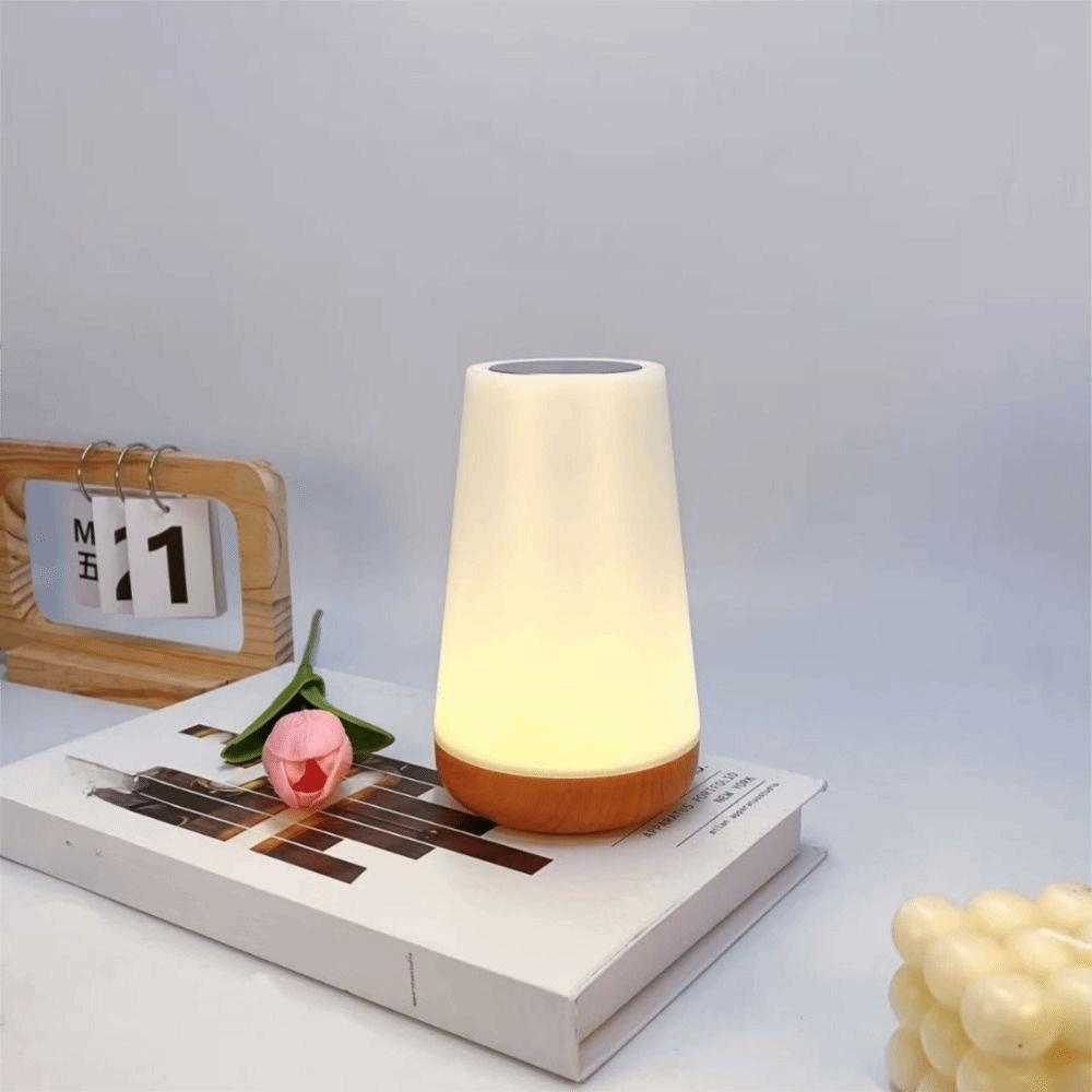 Ambient Light Remote Control Night Light Dimmable Usb Rechageable Bathroom Bedside Lamp Decorative Touch Lamp Bedroom