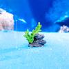 Creative Cute Kawaii Resin Ocean Animals Figurine Model  Coral Small Ornaments Diy Home Decoration Accessories Gifts