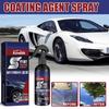 Rayhong Automobile Coating Spray Set Curing Paint Decontamination, Blackening Brightening Automobile Coating Nano Coating Spray