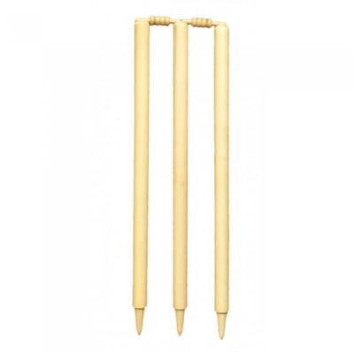 Carta Sport Ash Cricket Stump Set