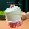 LISM Electric Mini Food Chopper and Garlic Masher