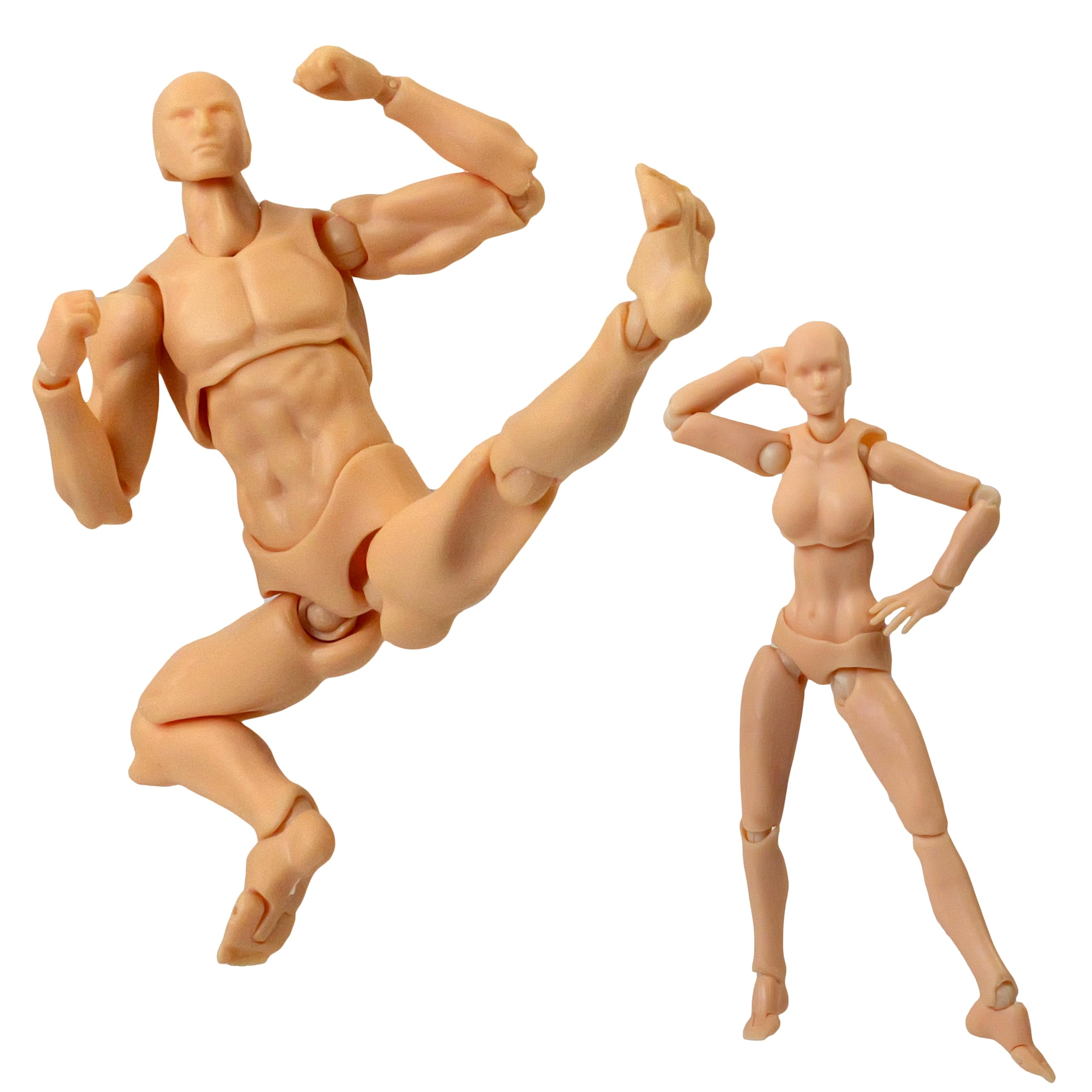 

attracting drawing doll Body-chan Body-kun 1/12 scale figure doll pose doll manga illustration mannequin drawing doll base body male female