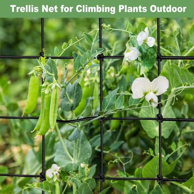 Climbing Net Trellis Adjustable Mesh Size Strong Support Plants Net Vegetables Fruits Flowers Gardening Tool