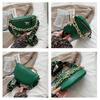 Thick Chain Women's Waist Bag Fanny Pack Fashion Shoulder Crossbody Chest Bags Female Belt Bag Crocodile Shoulder Bag KTY
