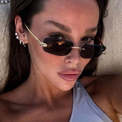 Occhiali da sole metallici a forma di ghepardo con montatura piccola senza montatura moda europea e americana occhiali da sole ins per donna
