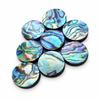 AAA Grade Abalone Shell Cabochons Round Flat Back Gemstones, Natural Iridescent Shell Loose Stone for Jewelry Making