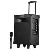 Edifier D3-8S 8-calowy przenośny głośnik Bluetooth na zewnątrz (Wersja CN)
