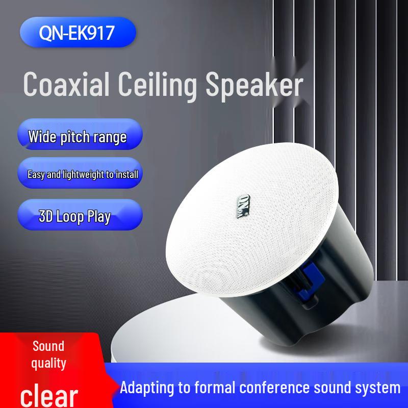 

Qinuo Ceiling Speaker for Background Music