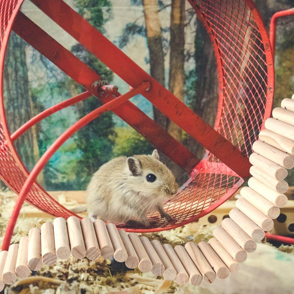 Multifunctional Hamster Suspension Bridge Bendable Hamster Habitat Toy  Chinchilla