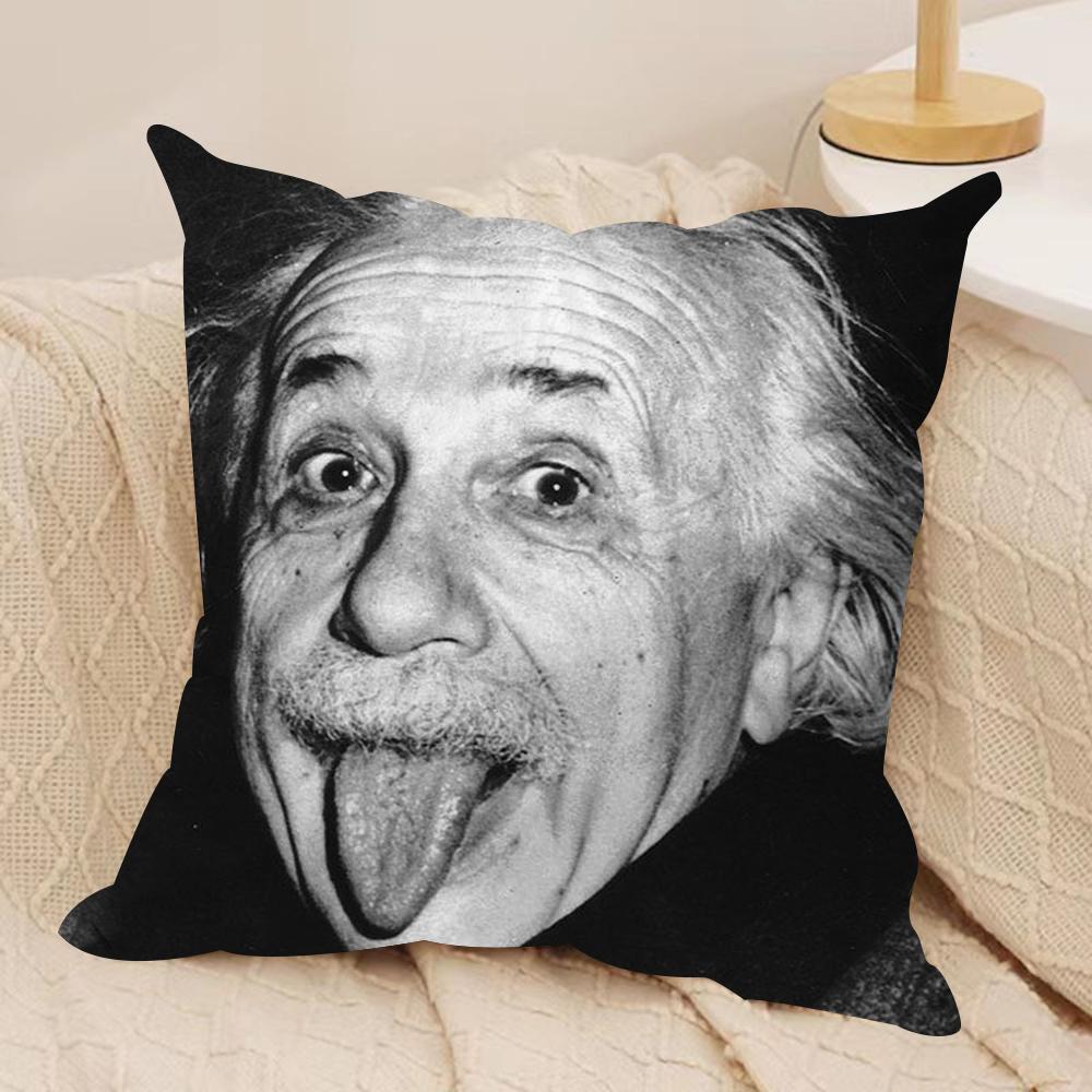 Physics EEINSTEINes Cushion Cover Soft Plush Fabric DoubleSided Printed Sofa Cushion Cover for All Seasons Home Decor Gift