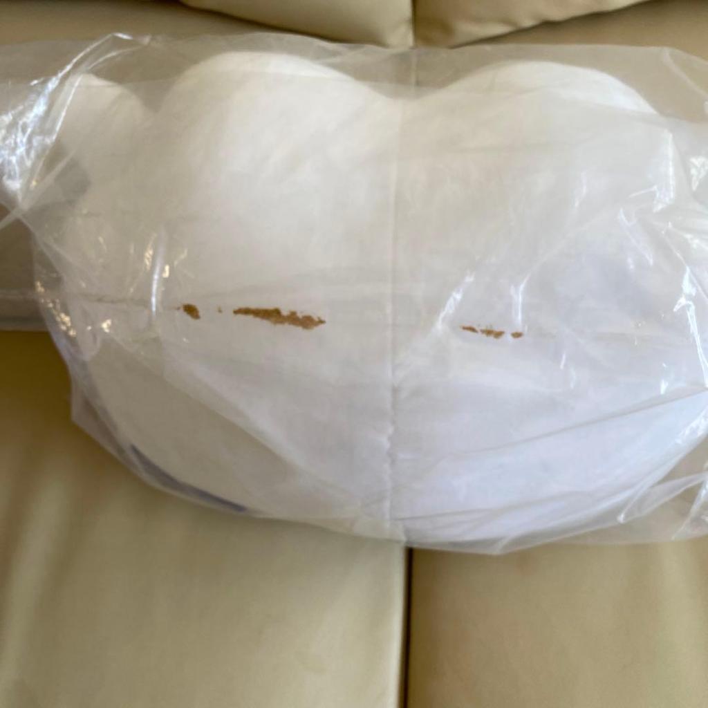 Used BT21 RJ Plush Cushion