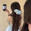 Flower Hair Claw Plastic Side Hairgrips Elegant Hairpins  Parties