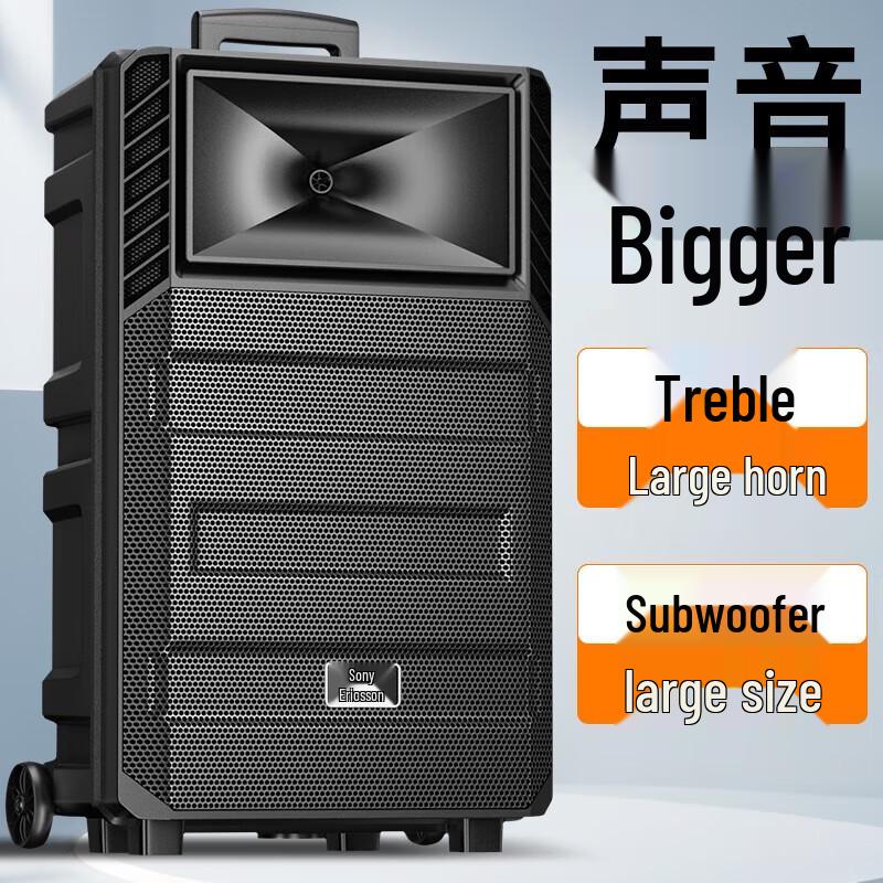 Soaiy SA-T20 12-inch Portable Bluetooth KTV Speaker