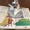 [USED] The FAERIES Pop-up Book Vintage Books