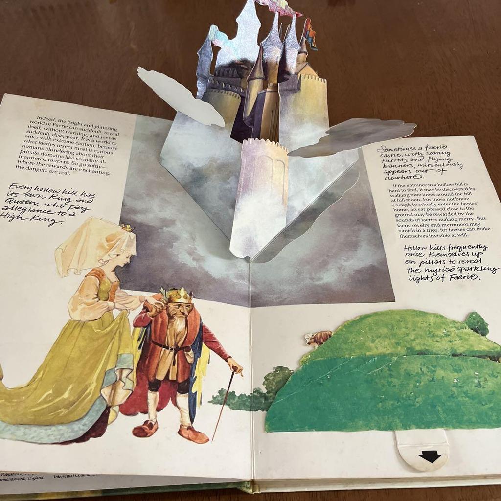 [USED] The FAERIES Pop-up Book Vintage Books