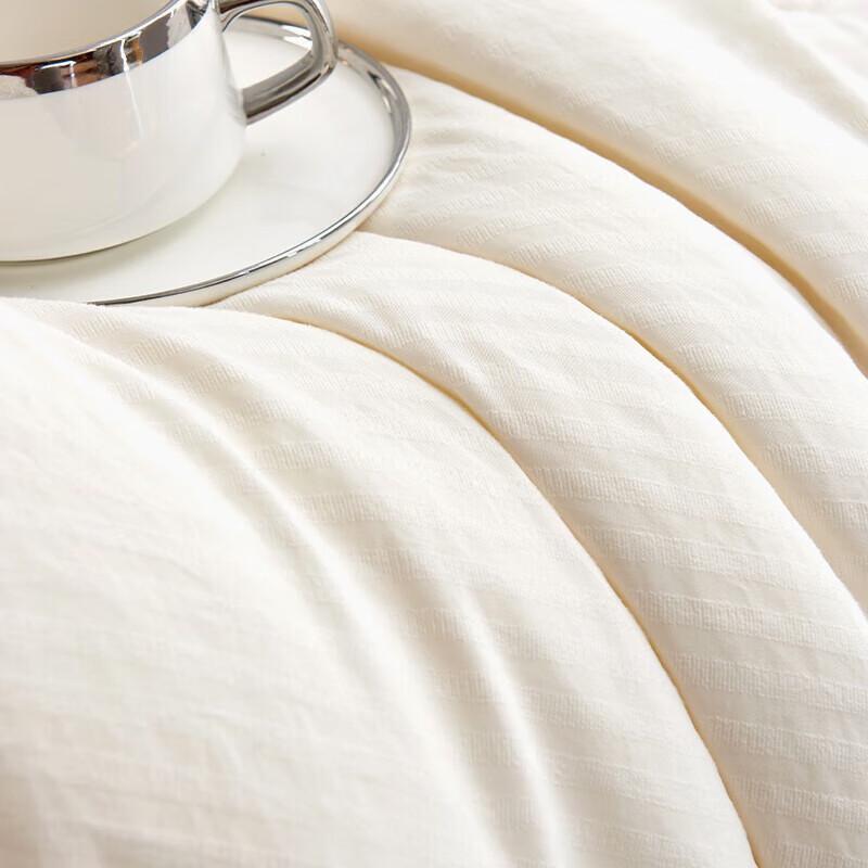 Jieliya Textured Cotton Antibacterial Winter Quilt