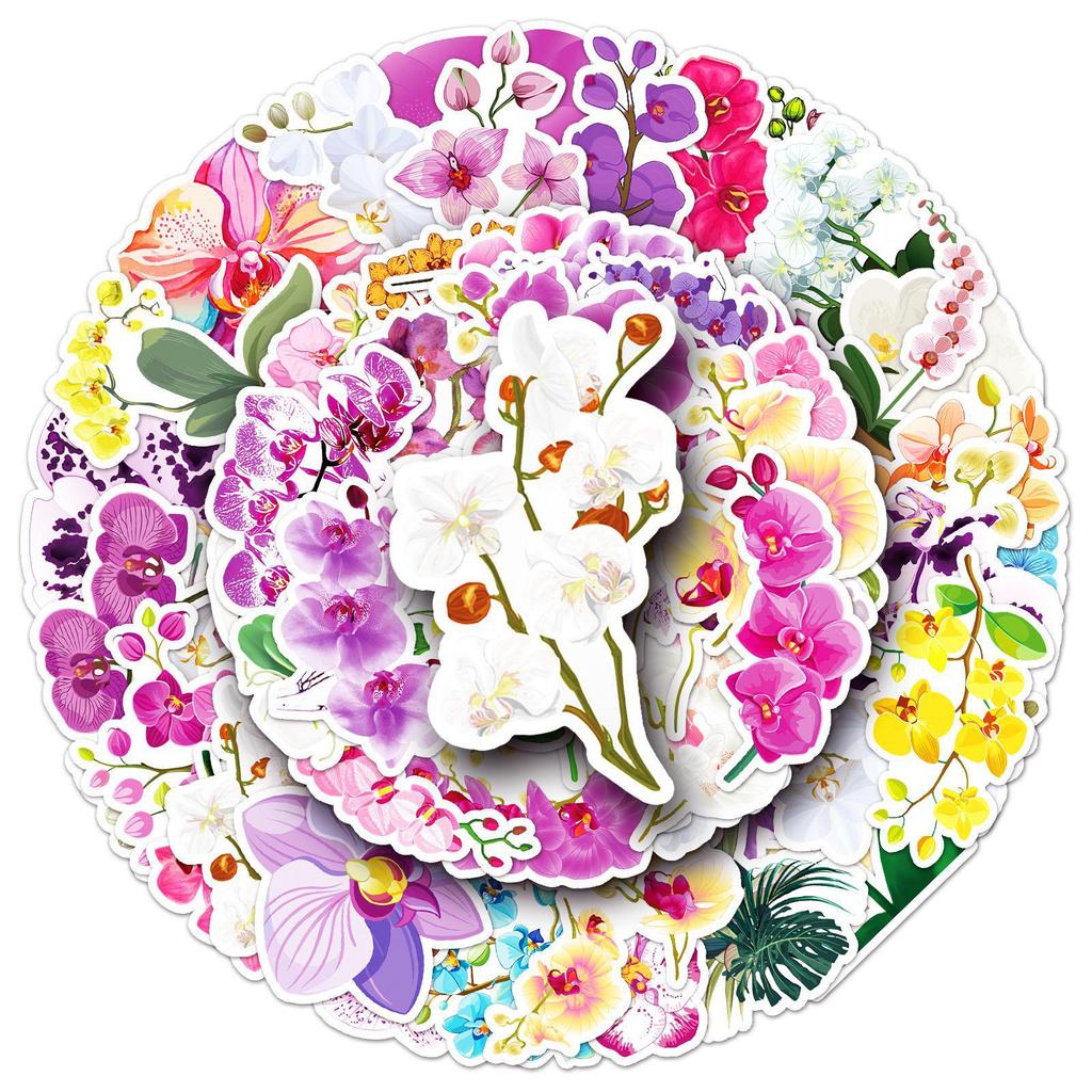50 Orchid Cartoon Flower Stickers: Waterproof, Decorative for Water Bottles & Journals