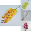 Artificial Phalaenopsis Orchid 3d Printed Realistic Multi Stem For Home Wedding Decor