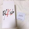 [USED] Stray Kids Penlight Penlight Case