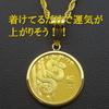and My Jewelry Pure Gold 24K Snake Year Coin 18K Gold 15 Charles III Australia Coin [Your Box] Necklace, 2025, Frame, 1/10oz, 9999Au, Dollars,