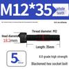 8.8 High-Strength Socket Head Cap Screw Bolt (M4-M20)