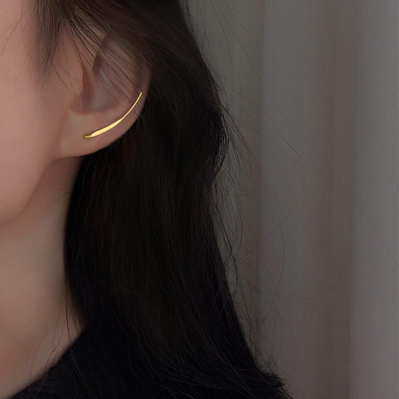 Metal style new geometric ear hook fashion niche ins temperament earrings high-end simple earrings wholesale