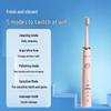 Flyco FT7108 Sonic Electric Toothbrush CN plug (adapter included)