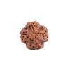 Nepal Origin 4 Mukhi Rudraksha | Boost Creativity & Intellectual Growth | Clarity, Confidence & SelfExpressio