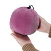 Detachable U-shaped Neck Pillow