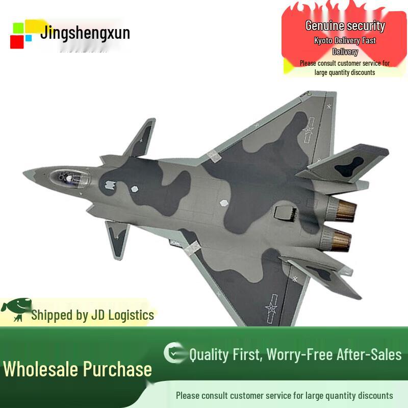 Модель истребителя J-20 1:48 Масштаб