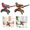 Realistic Bird Figure for Children Collection Decoration Miniature Bird Figurine for Desktop Home Garden Birthday Party Favor