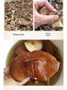 Yunnan Plateau Specialty: Wild Dried Shiitake Mushrooms