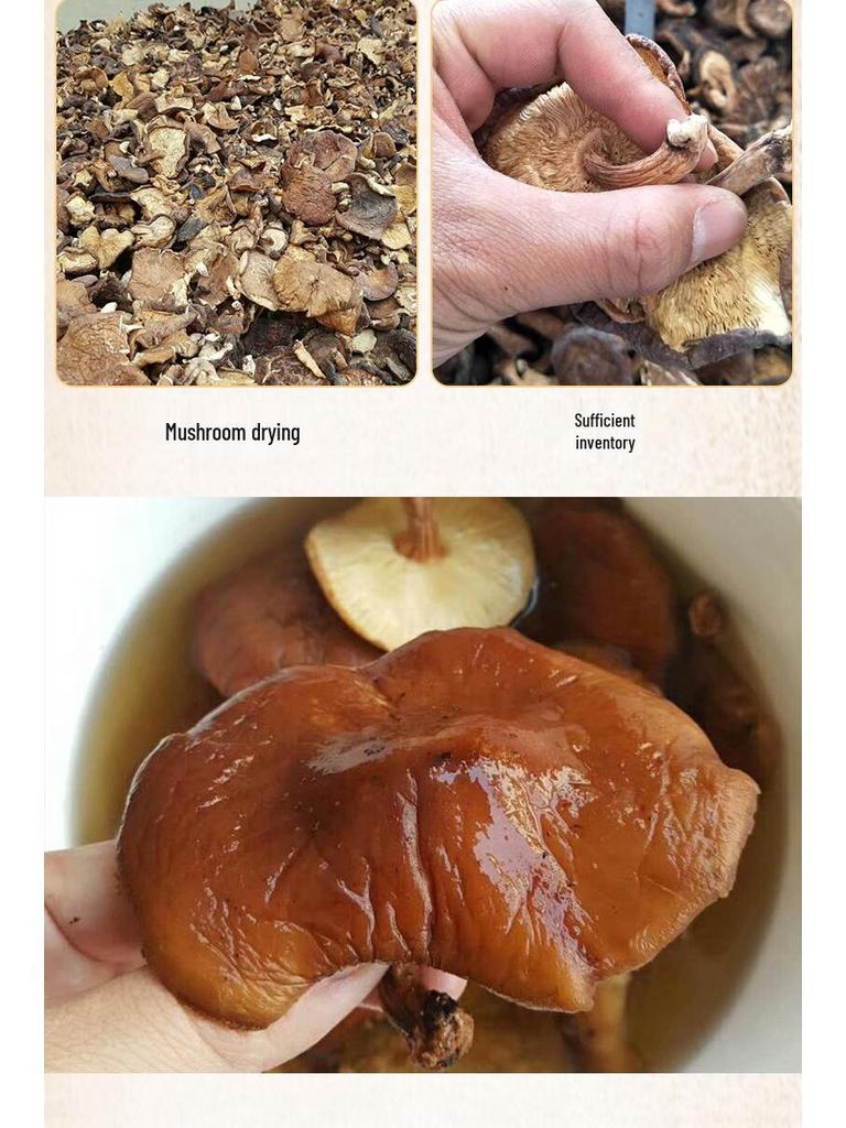 Yunnan Plateau Specialty: Wild Dried Shiitake Mushrooms