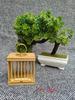 Single Grid Grasshopper Cage Handmade Bamboo Weaving Chirping Crawling And Cultural Toys