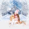 Winter Snowflake Forzen Castle Background Winter Backdrop Decorations For Photo Studio Photo Booth Christams Party