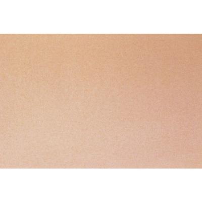 MégaCréa DIY - Salmon Pink Crepe Paper Sheet 50x200 Cm