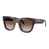 Logo Acetate Square Sunglasses Women's Tortoise Tortoiseshell Color 53 Basic Packaging - Glasses Case + Packaging Box